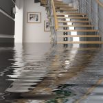 Waves of Restoration: Navigating Water Damage Challenges