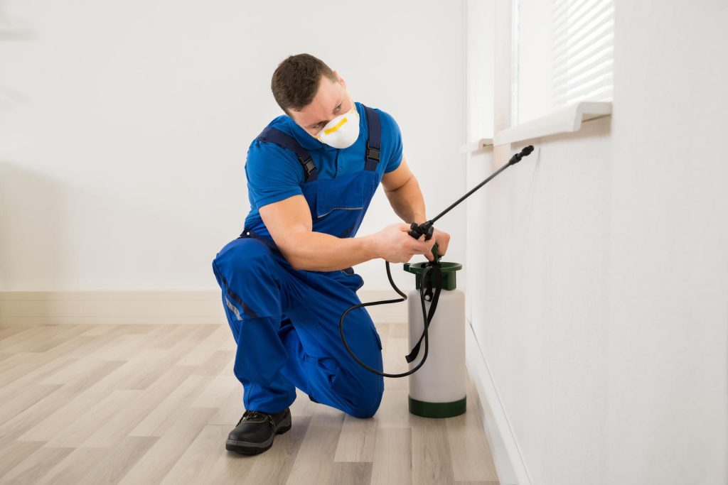 Pest Control Services: Your Trusted Allies in Pest Prevention and Control