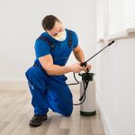 Pest Control Services: Your Trusted Allies in Pest Prevention and Control