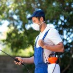 Sydney Pest Control: Identifying and Eliminating Bed Bug Hiding Spots