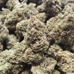 THCA Flower Uncovered A New Dawn in Non-Psychoactive Plant Medicine