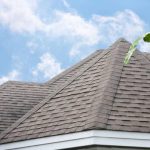 Roofing Contractor Wellington Your Go-To Experts
