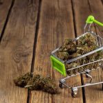 The Best HHC Carts of 2024 Top Picks for Every User